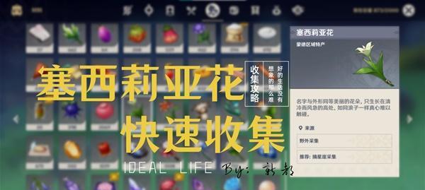 原神：如何开启塞西莉亚秘境？|解锁方法攻略