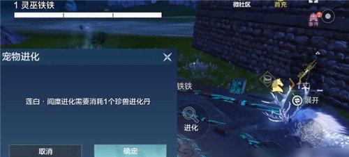 探索妄想山海（游戏中的星宿白虎星座及其搭配攻略）