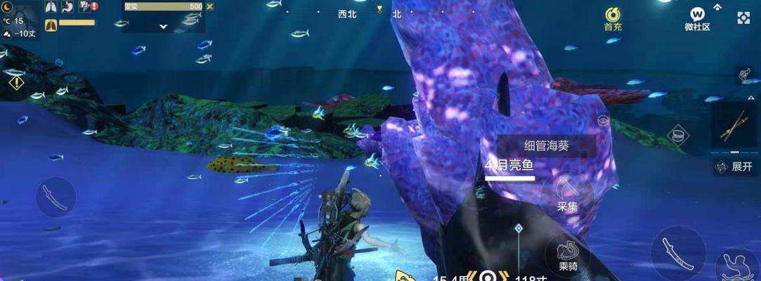 《探寻妄想山海中的赤金矿石奥秘》（深入游戏世界）