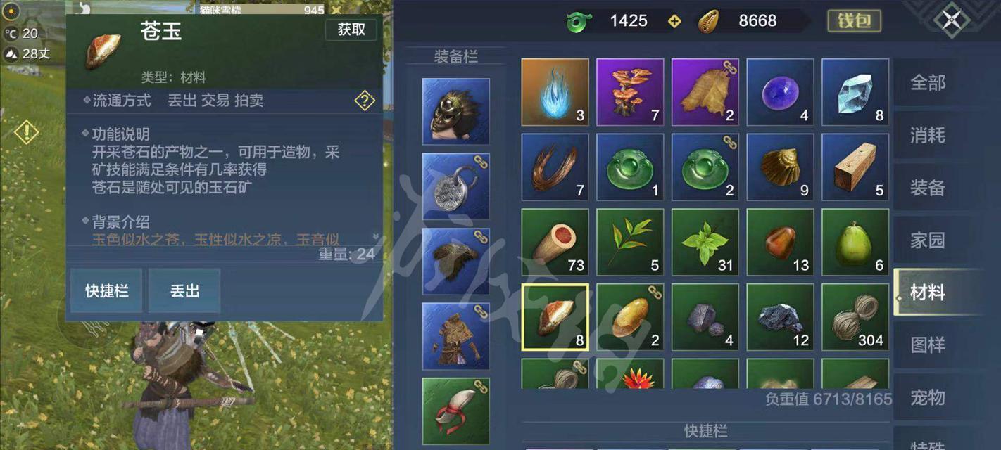 《山海破城技能全面提升攻略》（掌握妄想山海破城技能的关键技巧）