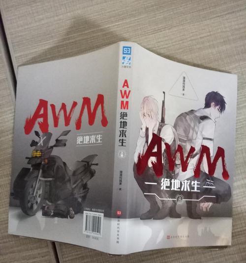 《绝地求生全军出击》AWM图鉴（绝地求生全军出击AWM图鉴）