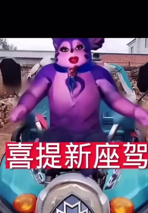 王者荣耀胖猫死亡原因是什么？